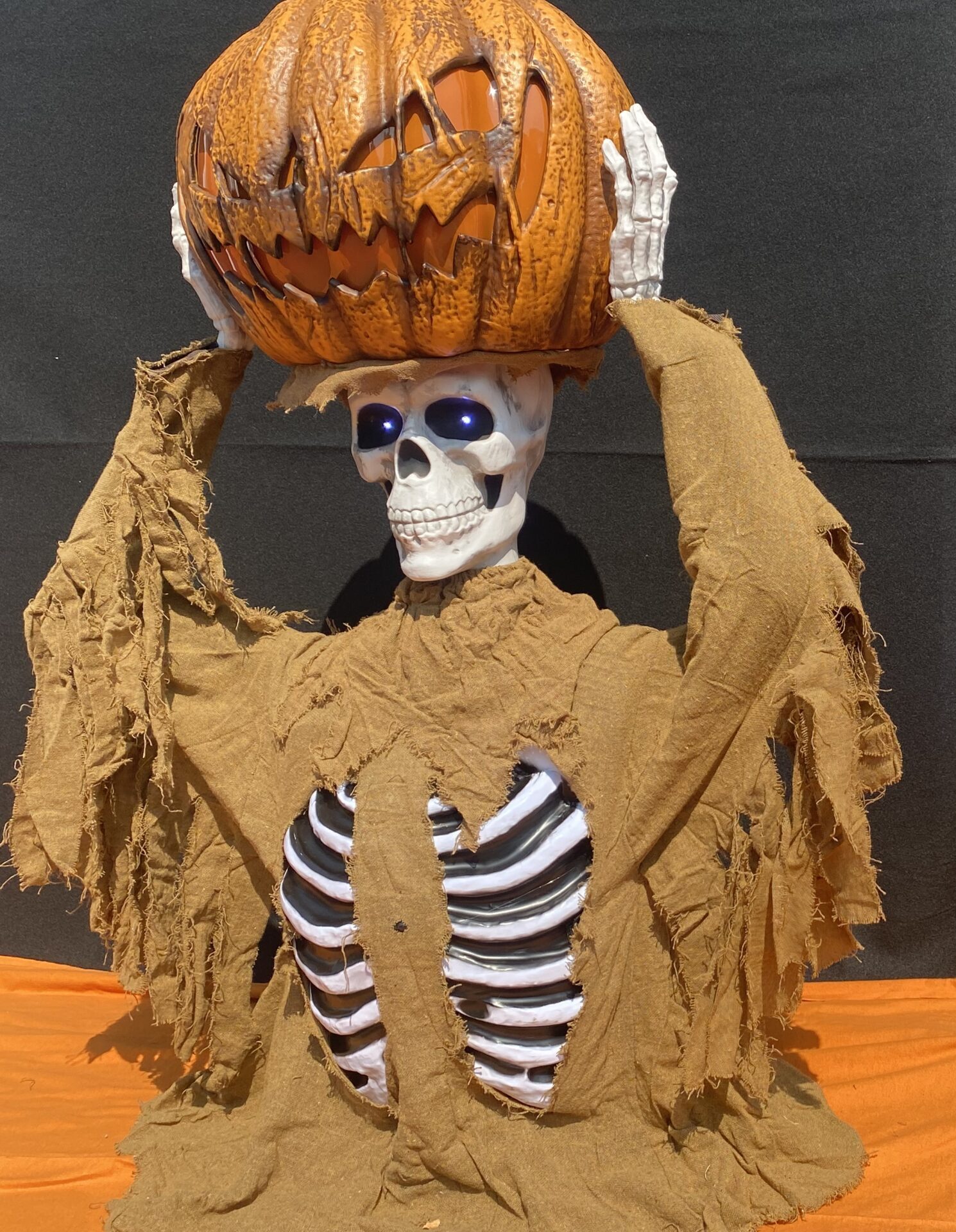 Pumpkin Above Skeleton Scaled E1785458372697