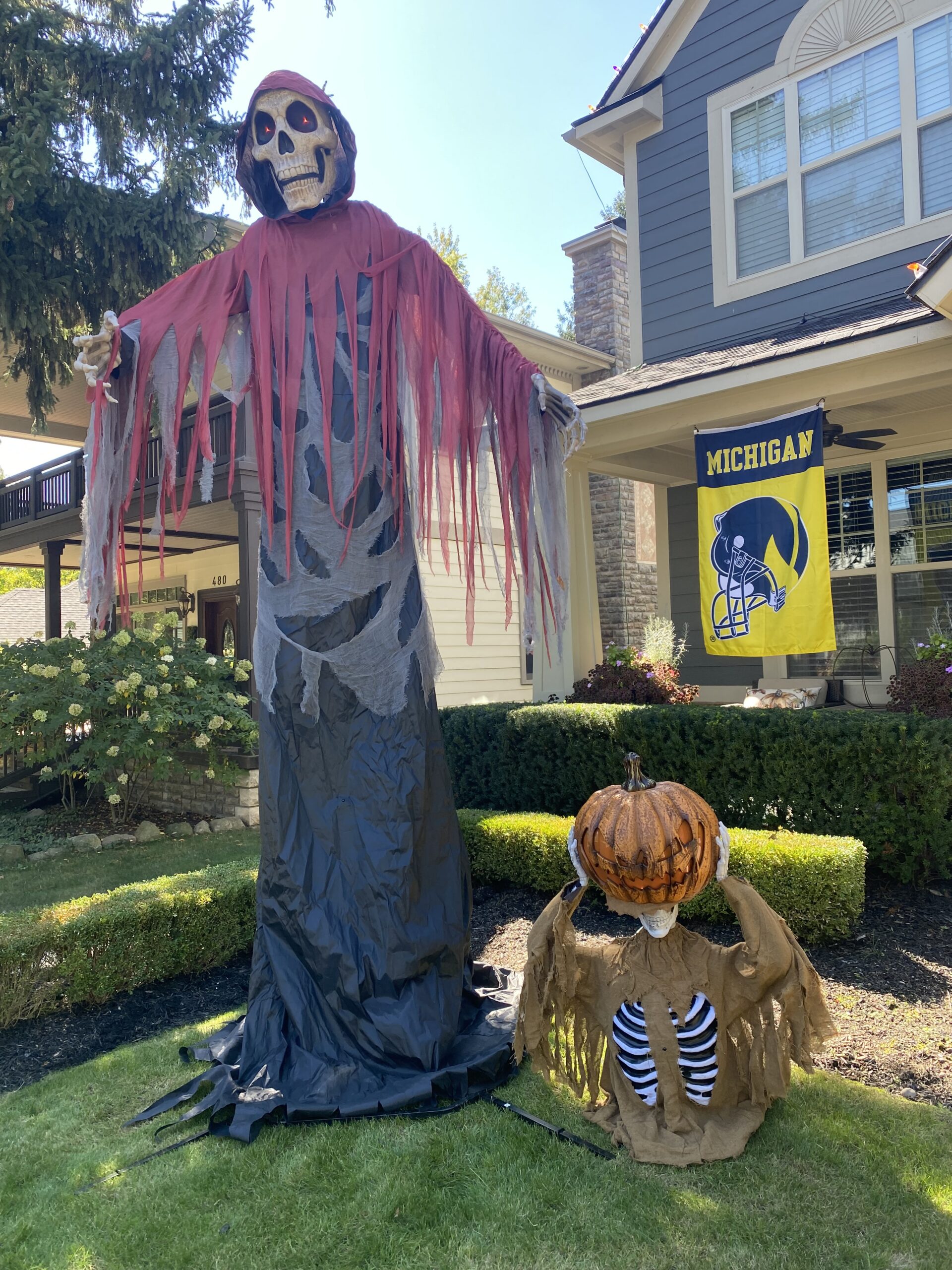 Tall Skeleton Scaled